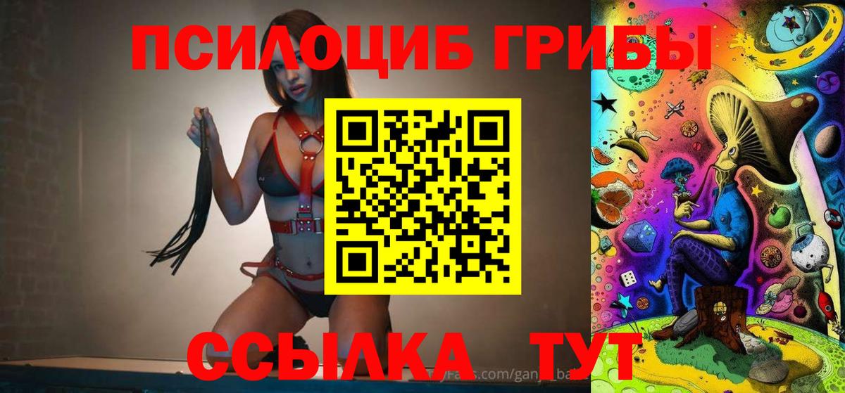 Псилоцибиновые грибы Magic Shrooms Гай